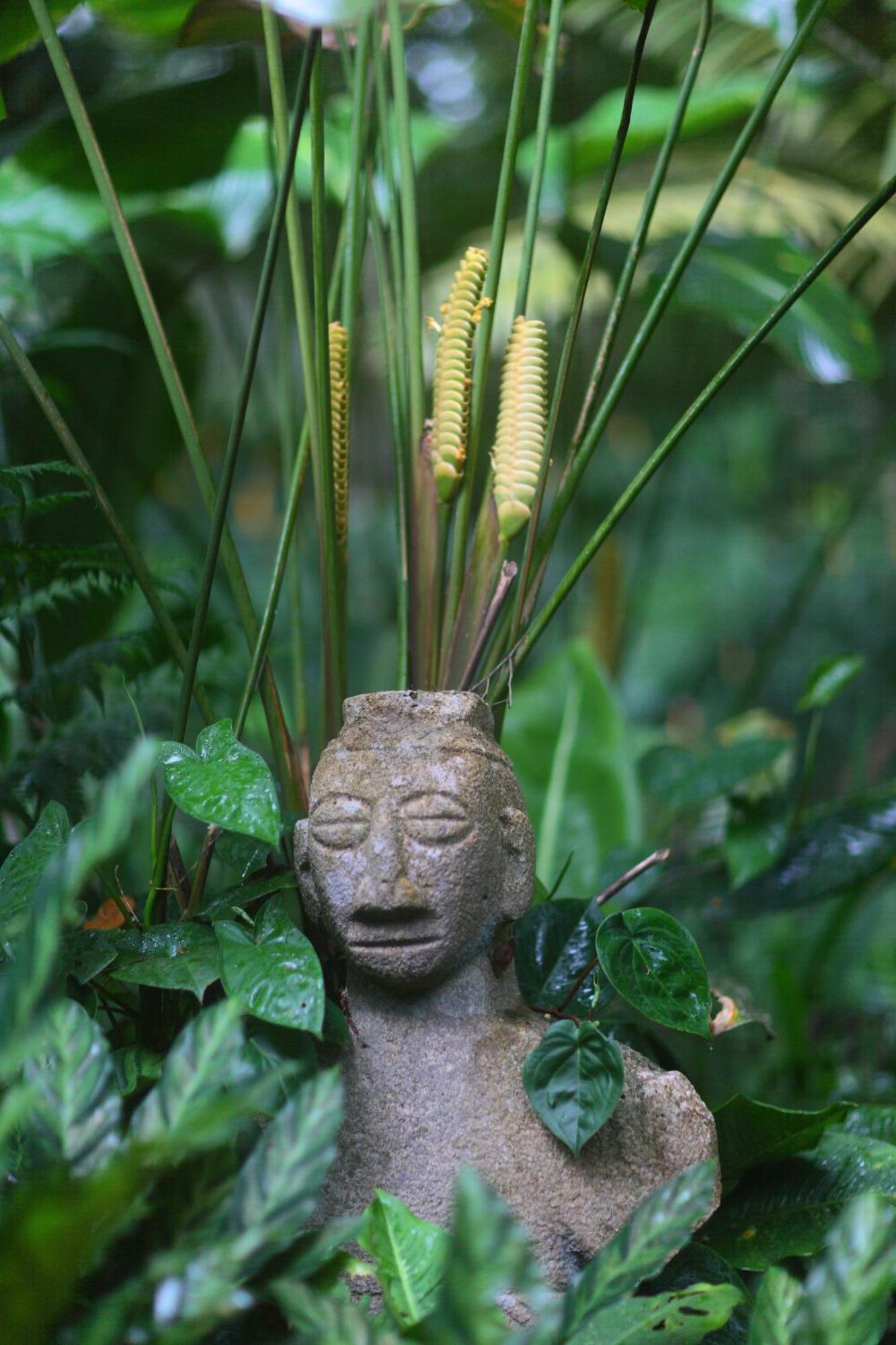 Casa Rio Blanco Eco Friendly B&B Guápiles Exteriör bild
