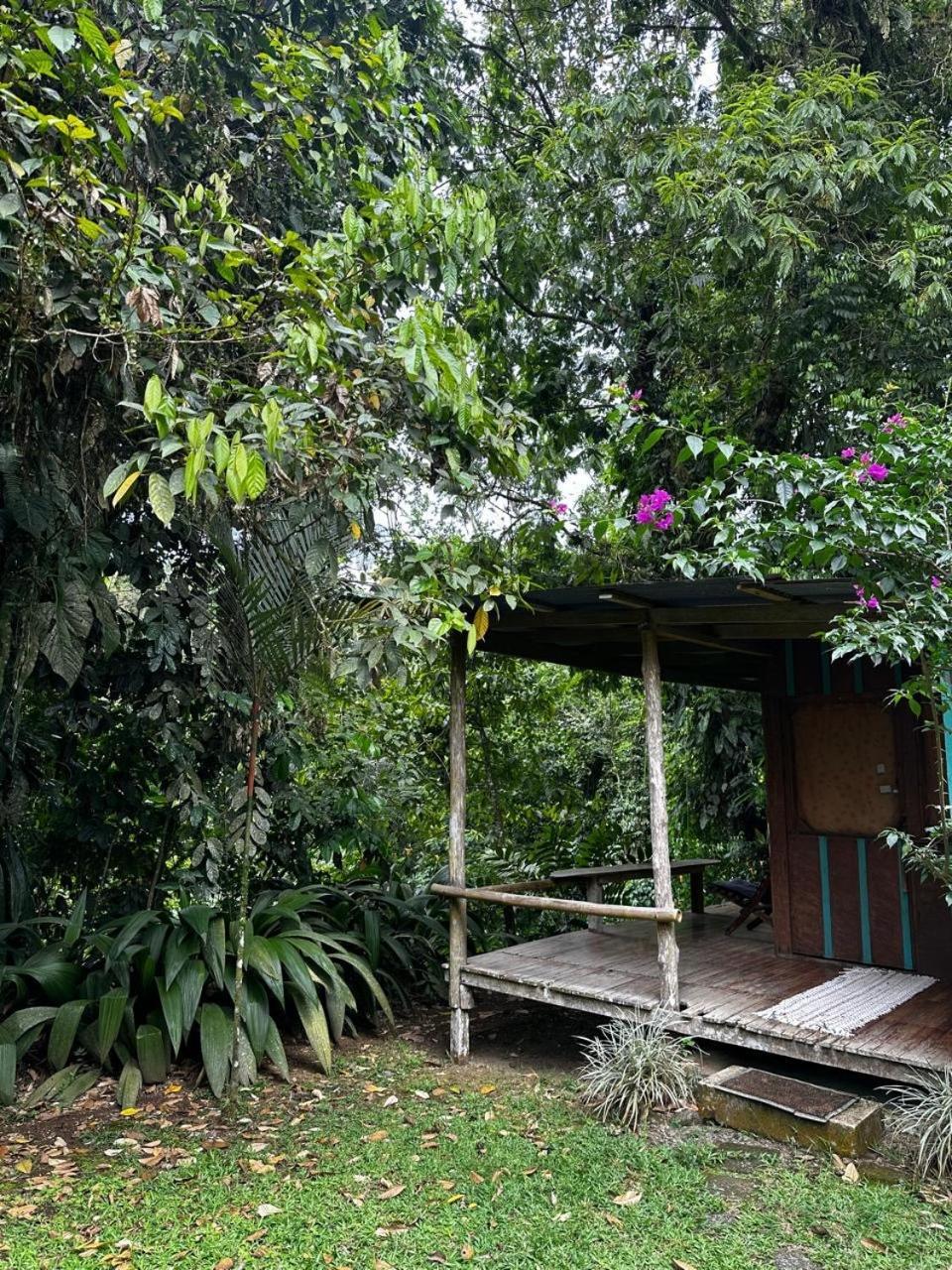 Casa Rio Blanco Eco Friendly B&B Guápiles Exteriör bild