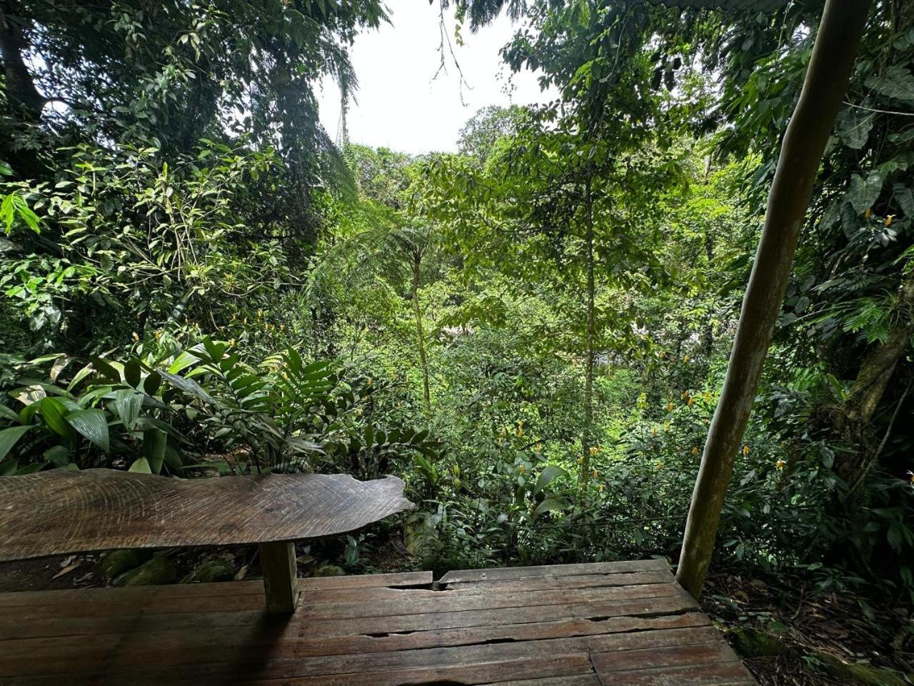 Casa Rio Blanco Eco Friendly B&B Guápiles Exteriör bild