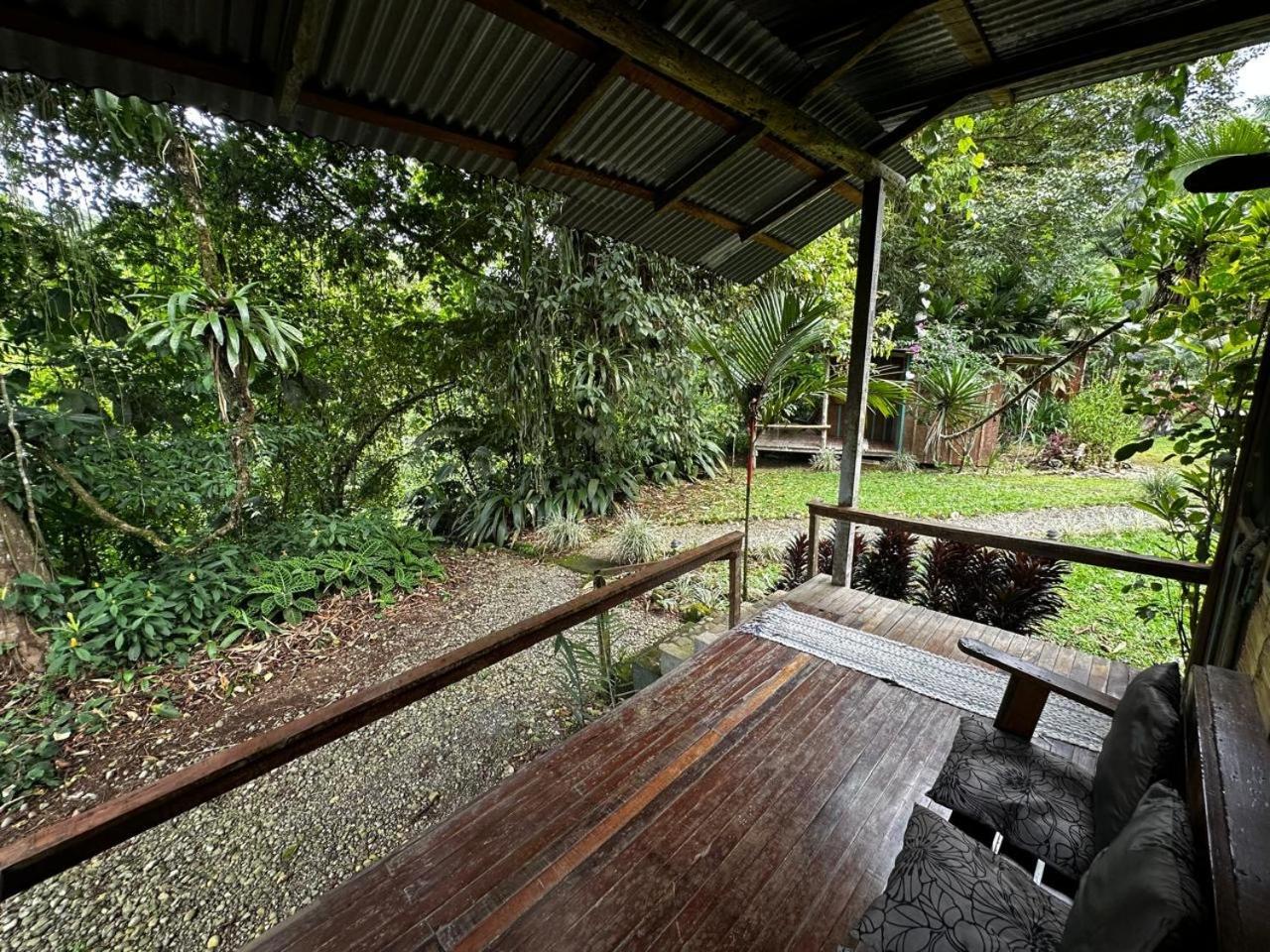 Casa Rio Blanco Eco Friendly B&B Guápiles Exteriör bild