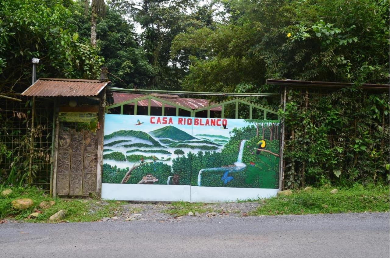 Casa Rio Blanco Eco Friendly B&B Guápiles Exteriör bild