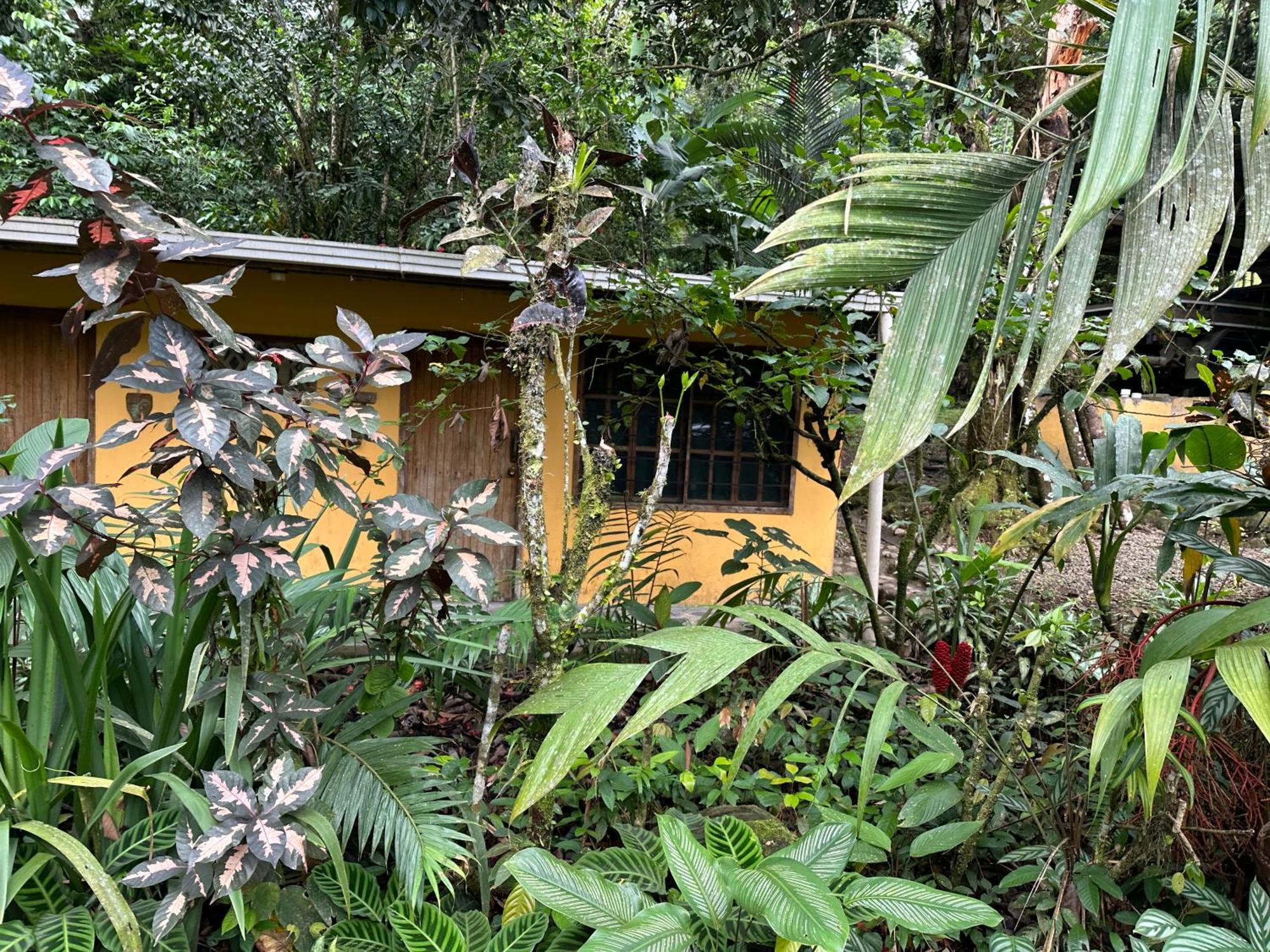 Casa Rio Blanco Eco Friendly B&B Guápiles Exteriör bild