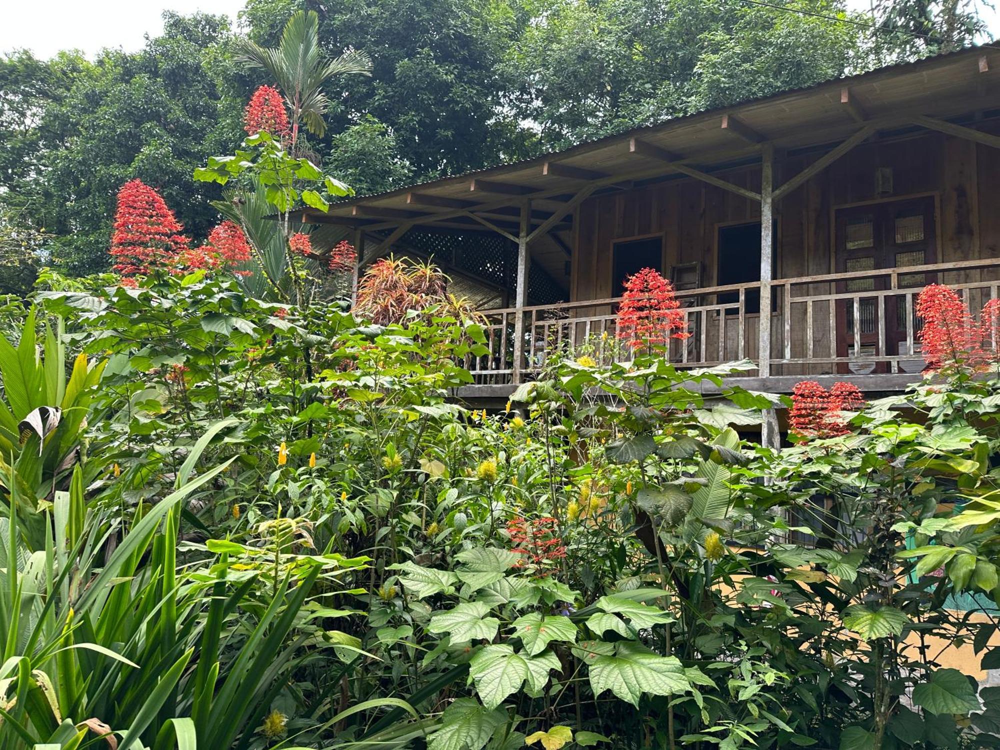Casa Rio Blanco Eco Friendly B&B Guápiles Exteriör bild