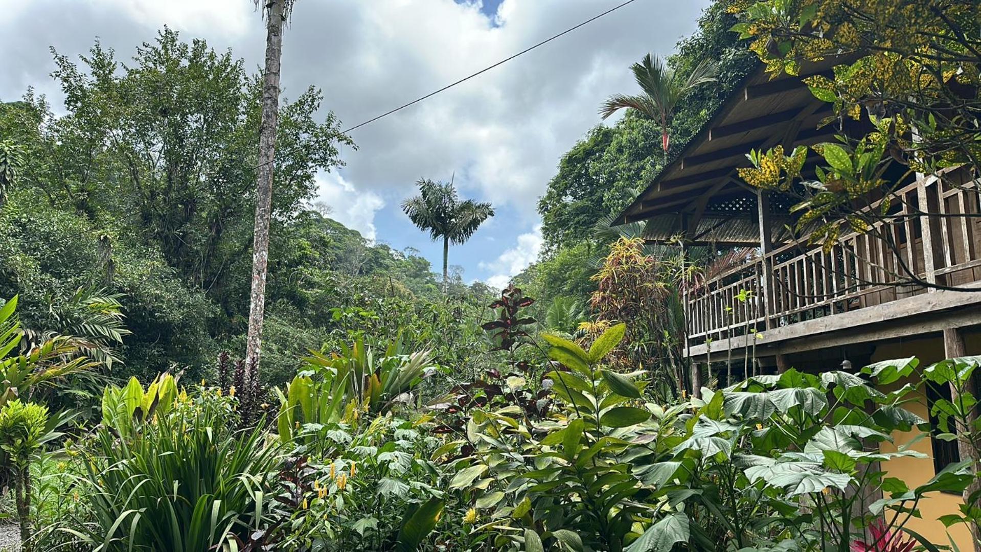 Casa Rio Blanco Eco Friendly B&B Guápiles Exteriör bild