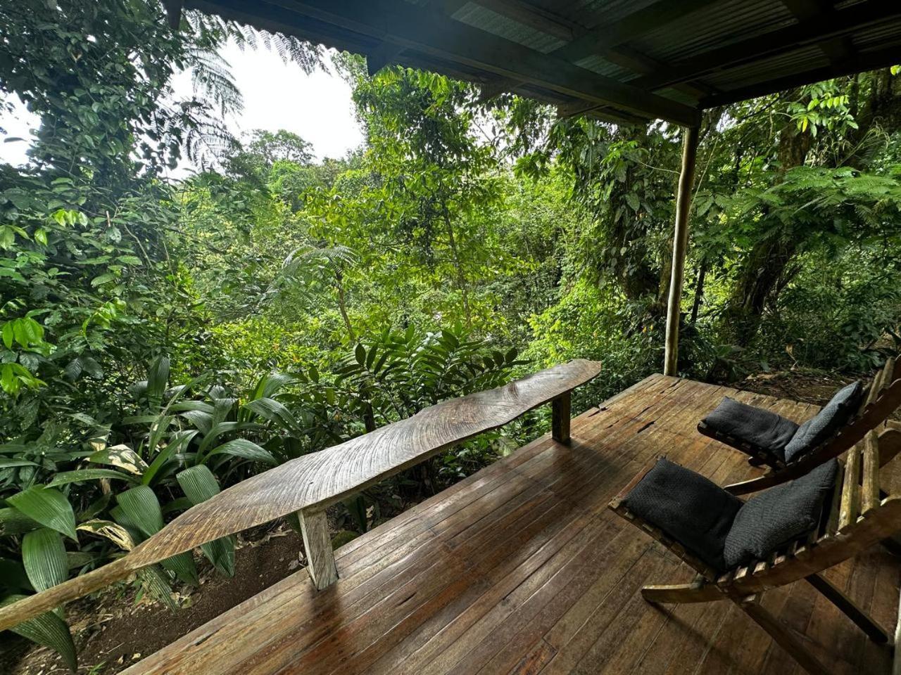 Casa Rio Blanco Eco Friendly B&B Guápiles Exteriör bild