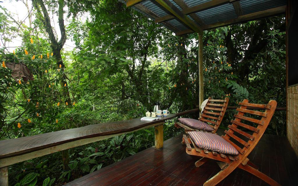 Casa Rio Blanco Eco Friendly B&B Guápiles Exteriör bild
